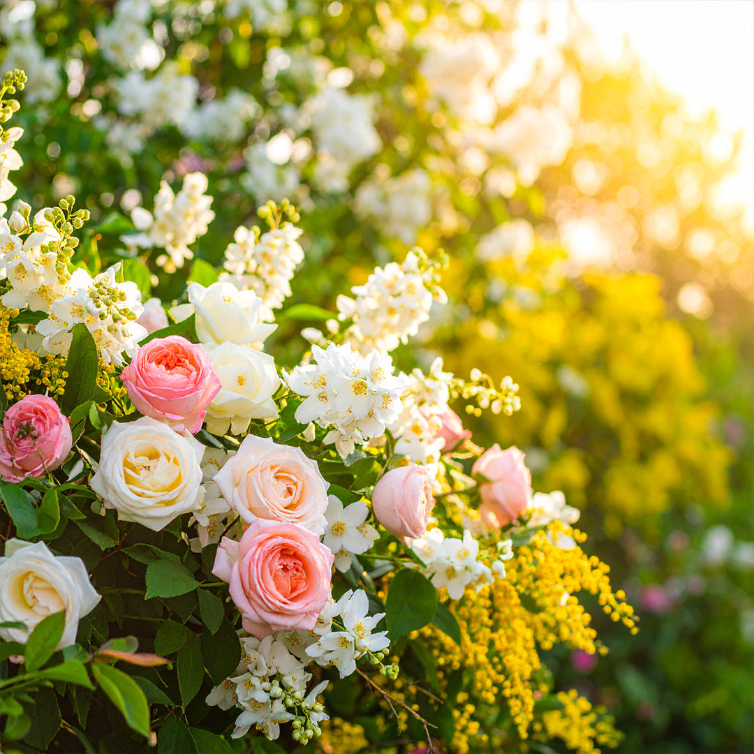 Roséluxe Oda Parfümü Refill 200ml