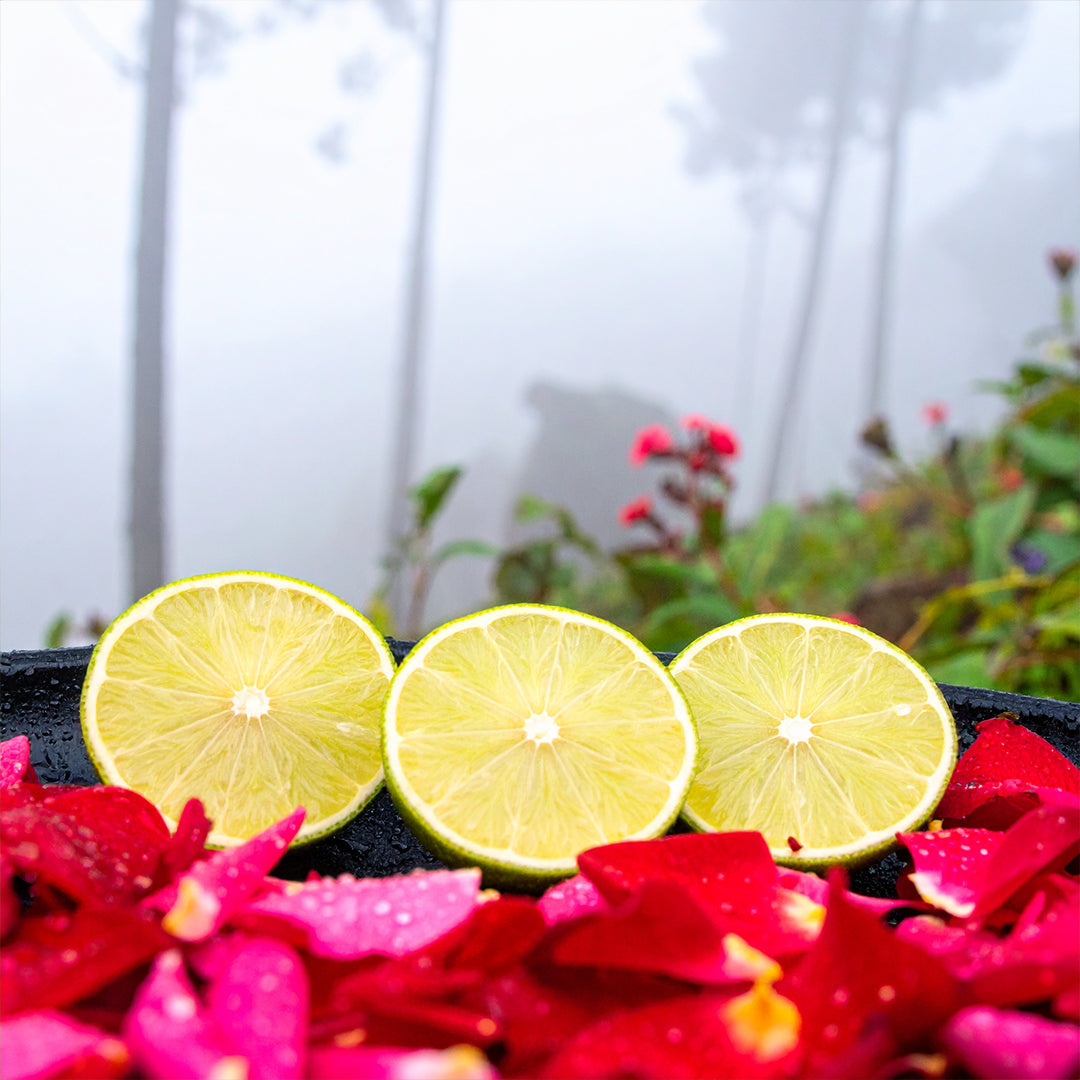 Citrolyptus Oda Parfümü Refill 200ml