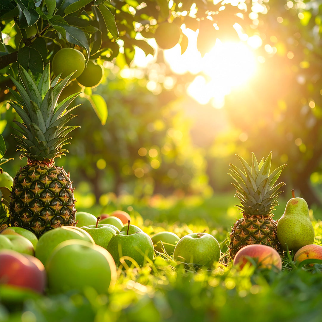 Pomedité Oda Parfümü Refill 200ml