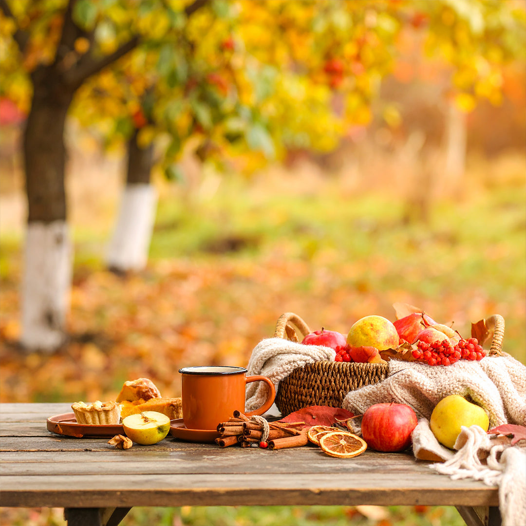 Élixir d'Automne Oda Parfümü Refill 200ml