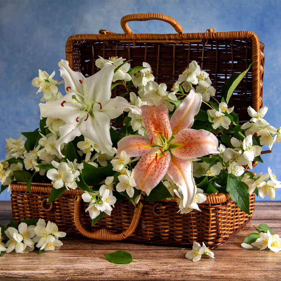 Muguet et jasmin Esans